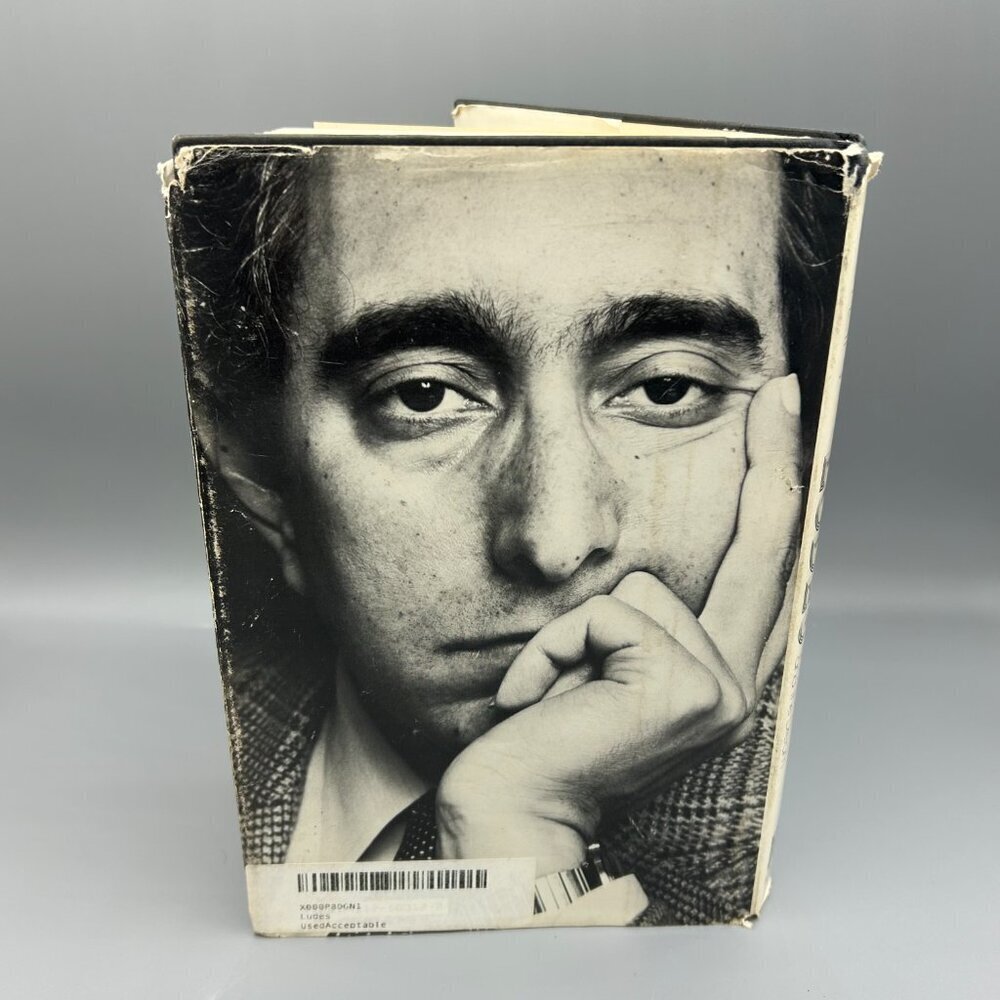 Ludes by Benjamin Stein Hardcover Novel w Dust Jacket 1982 - Picture 5 of 6